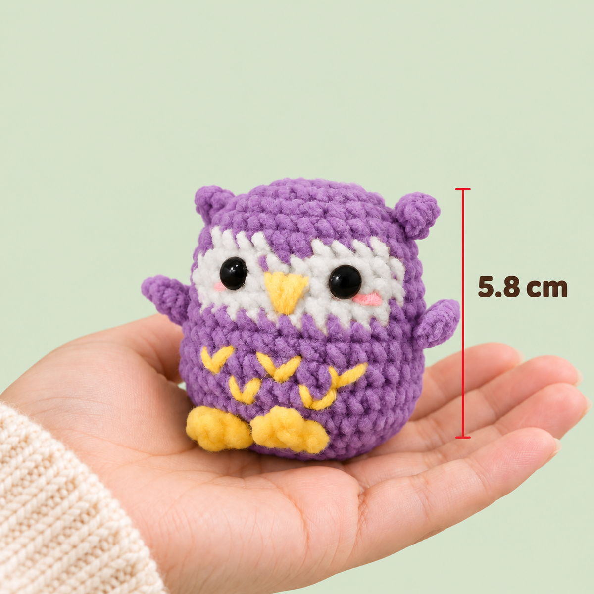 Chouquette — Height in hand